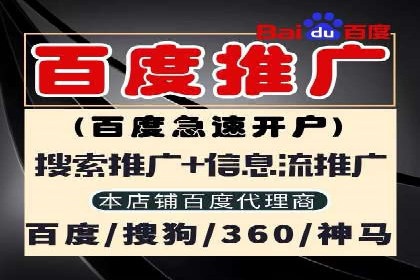 谷歌竞价广告在电商行业的运用案例