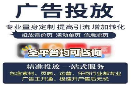 SEO百度推广策略：成功案例解析